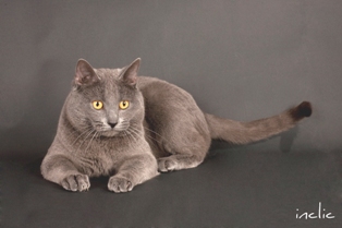 Les Charteux de Barbeiranne et des Oliviers